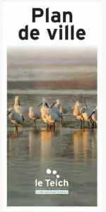 Ville du teich -