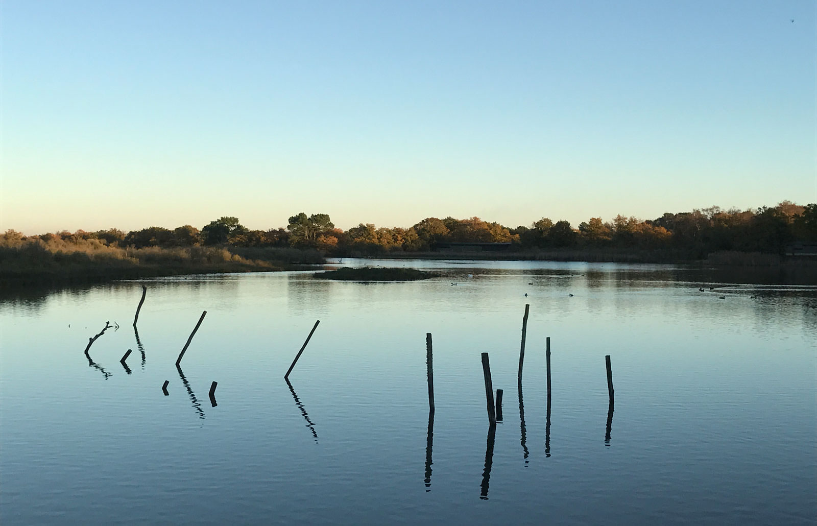 header test small