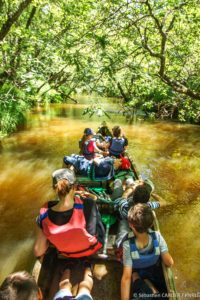 A pied et en canoe : visite guidée du delta autrement - Sports nautiques