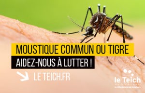 Distribution de pièges à moustiques tigres - Actualités