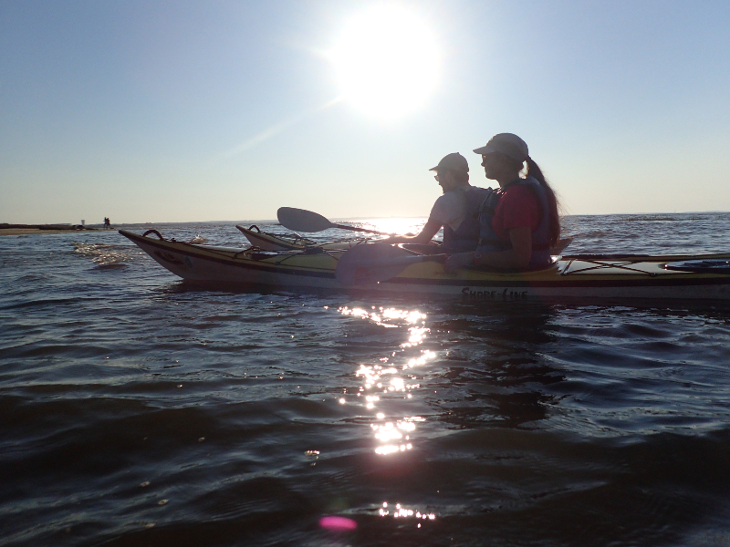 Sortie en kayak de mer - Découverte du delta de l'Eyre -