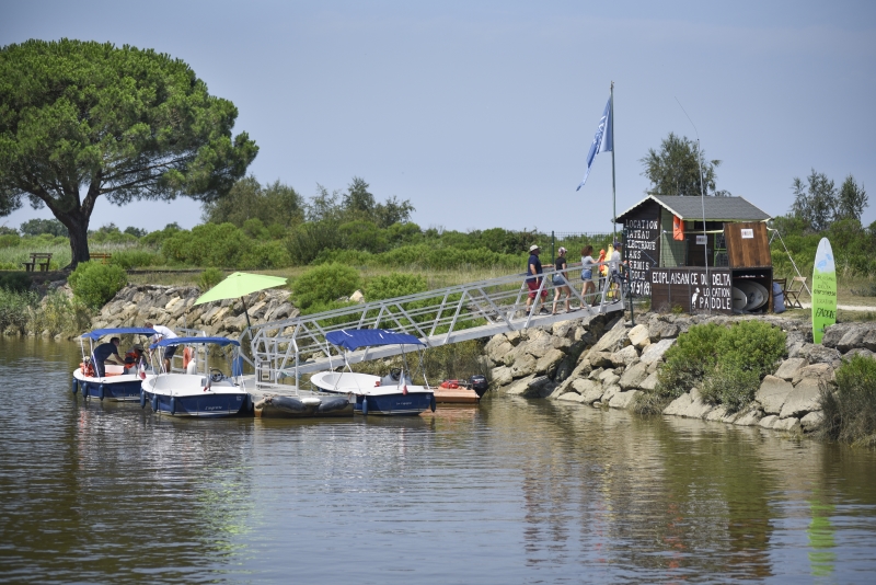 Promenade privatisée avec guide en bateau électrique -