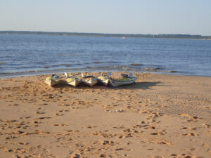Découverte et initiation au kayak de mer dans le delta du Bassin d'Arcachon - Culturelle