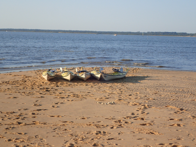 Découverte et initiation au kayak de mer dans le delta du Bassin d'Arcachon -