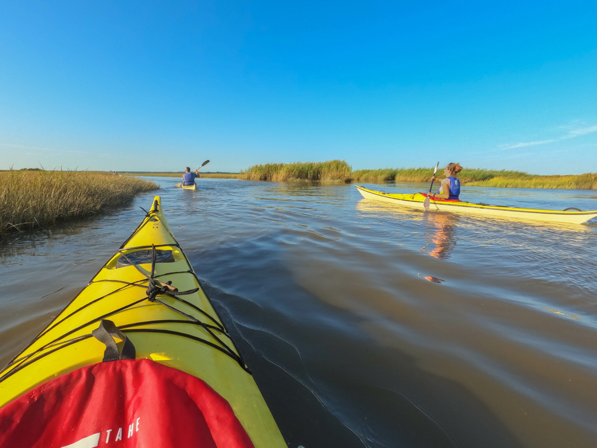 Sortie en kayak de mer – Découverte du delta de l'Eyre et du Bassin d'Arcachon