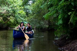 Balade en canoë traditionnel : escapade cistude - Sports nautiques