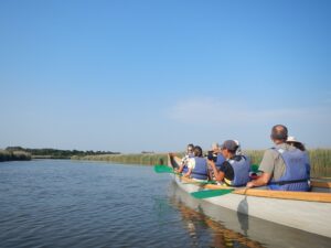 Sortie en kayak de mer : observation des Bernaches Cravant