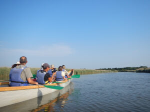 Visite de la réserve ornithologique et de son delta à pied et en canoë - Sports nautiques