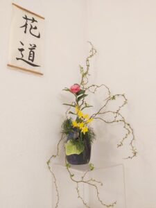 Exposition d'ikebana (art floral japonais) - Fleurs plantes