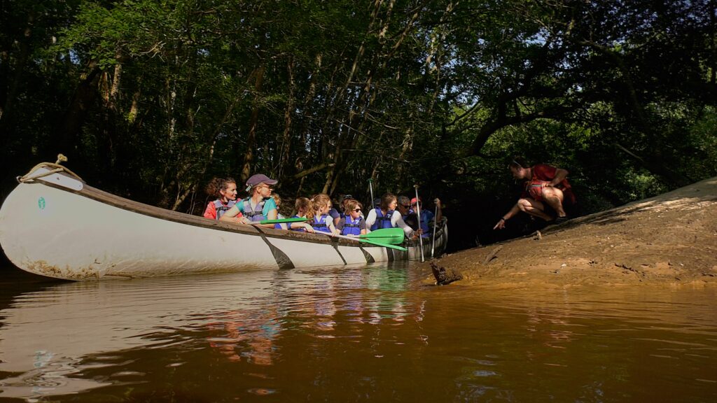 Balade guidée en canoë collectif sur la Leyre -