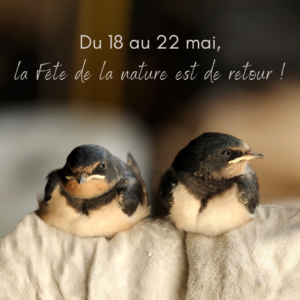 Fête de la nature 2022 18 mai - Visite