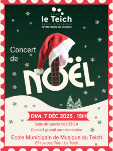 Concert de Noël de l'Ecole Municipale de Musique du Teich. - Musique
