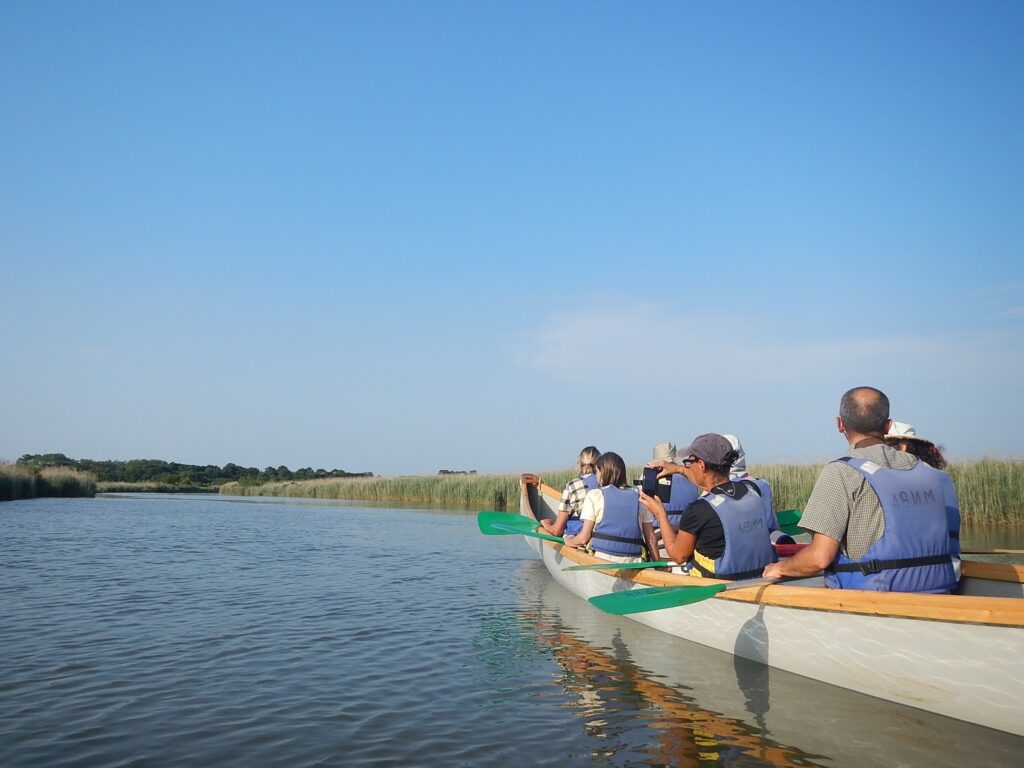 Visite libre de la réserve ornithologique et canoë collectif -