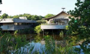 Maison de la Nature du Bassin d'Arcachon -