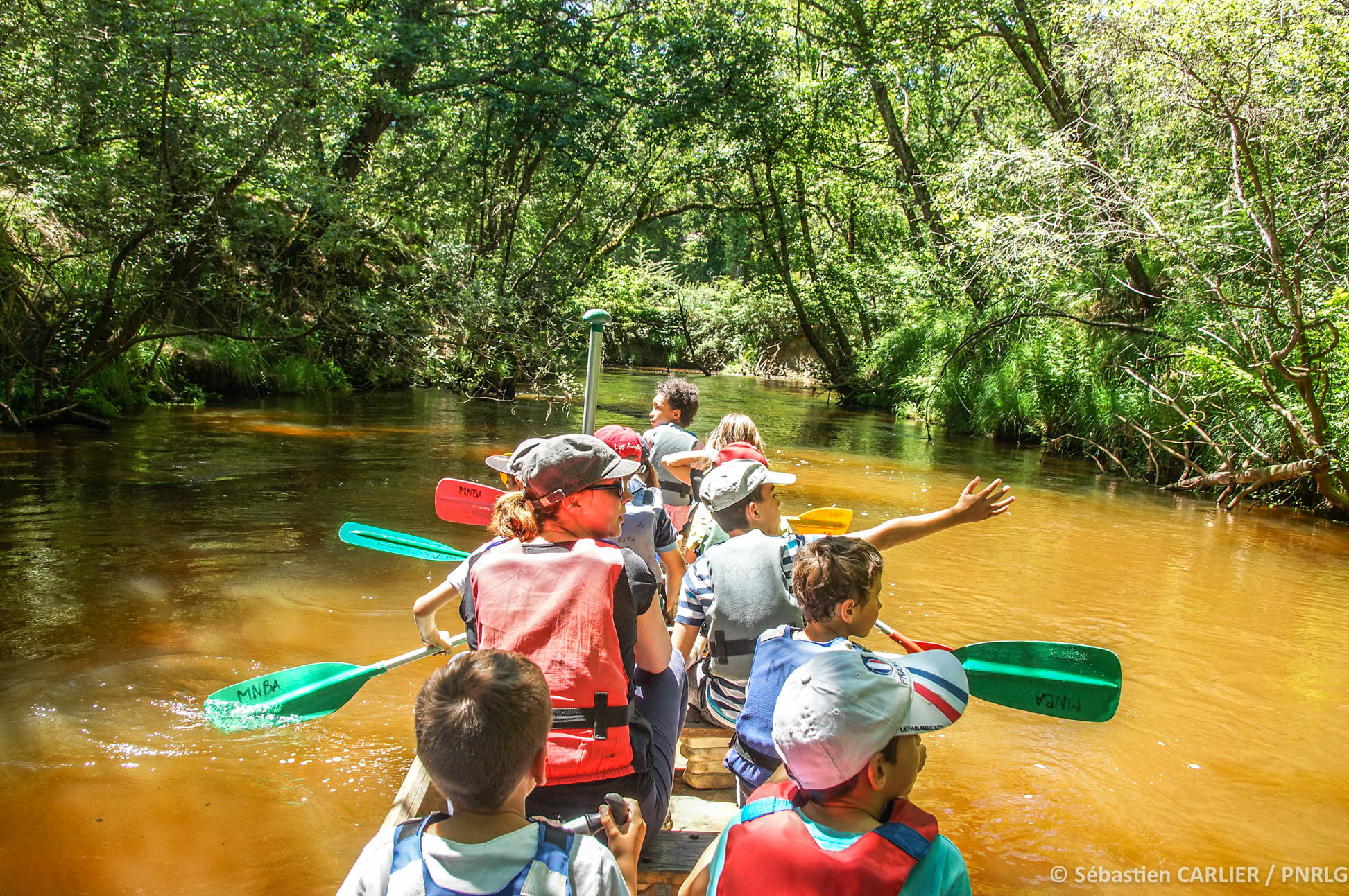51+ Descente De La Leyre En Canoe Le Teich, Retrouvez tous nos