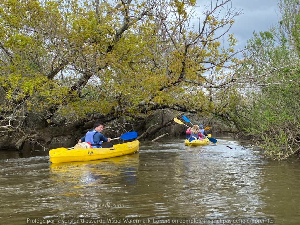 Petits kayaks, prêt pour l'aventure -