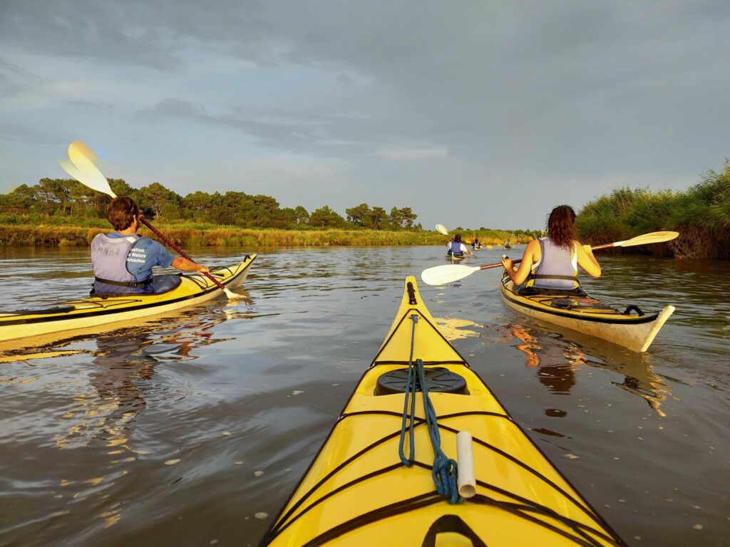 Guide privé canoë-kayak et découverte faune flore -