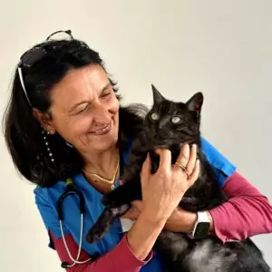 Quatre Femmes, Quatre Parcours : Les Voix qui Font Vivre le Teich - Solidarité