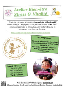 Atelier Bien-Être Stress & Vitalité - Nature