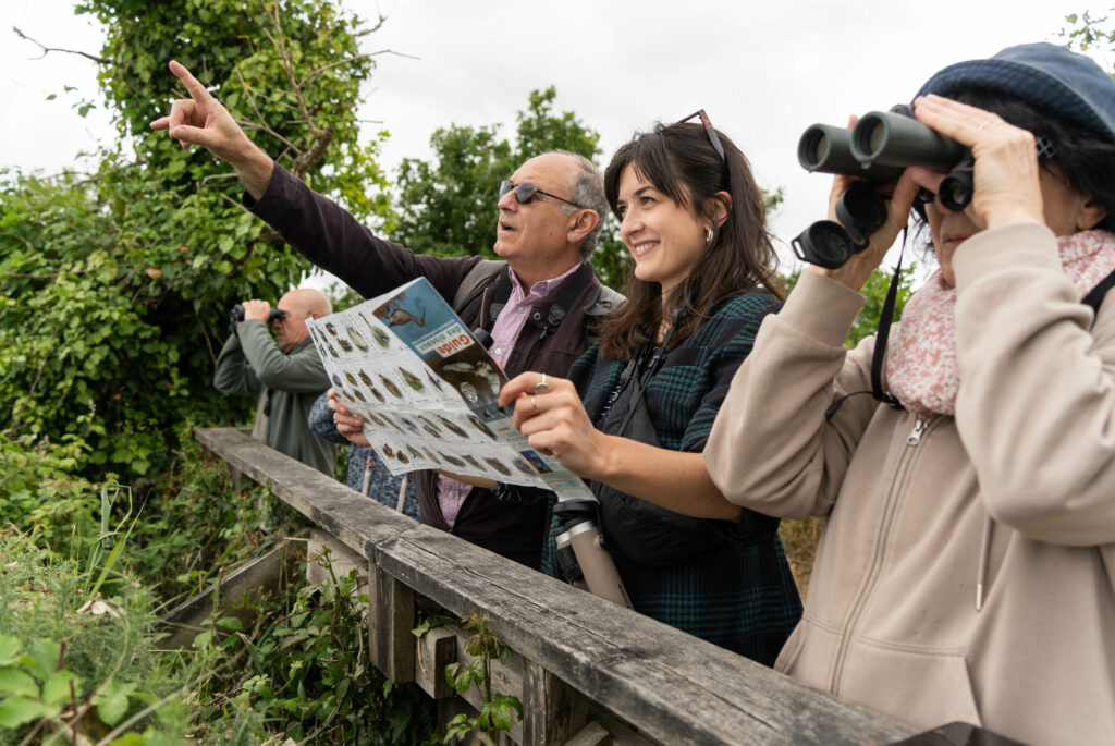 Visite « ornitho-historique » de la Réserve ornithologique du Teich -