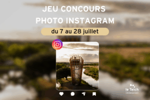 Jeu concours photo Instagram : « Le Teich, à hauteur du Belvédère » - actualité