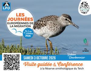 Conférence : « Identifier, suivre et préserver : le rôle du baguage dans l’étude des oiseaux » - Culturelle