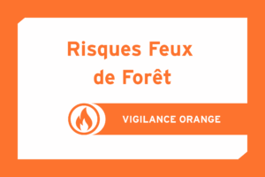 Alerte météo : vigilance orange feux de forêt - actualité