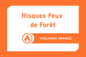 Risque feux de forêt : vigilance orange - actualité