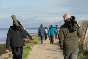 Formation aux oiseaux du littoral : les limicoles, le temps de l'hiver - Concert