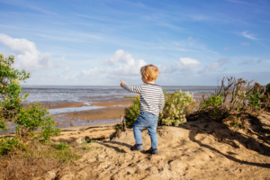 FIN DES TRAVAUX SUR LE SENTIER DU LITTORAL DU TEICH - actualité