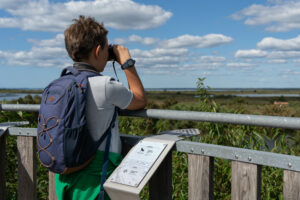 Fête de la Nature au Teich - Sports et loisirs