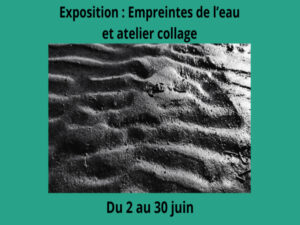 Exposition Empreintes de l'eau par Céline Vermeire Bruère. - Exposition
