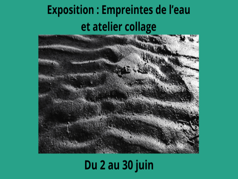Exposition Empreintes de l'eau par Céline Vermeire Bruère. -