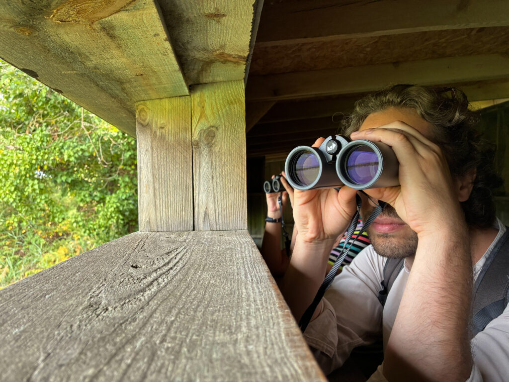 Visite guidée de la Réserve ornithologique du Teich en anglais -