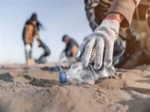 Animations plages sur le thème des déchets - Nature